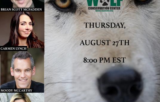  Comedy Night to Benefit the Wolf Conservation Center